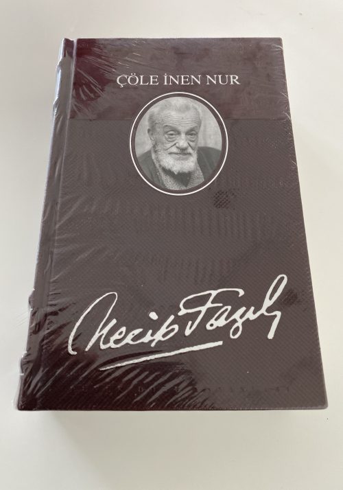 Cöle Inen Nur